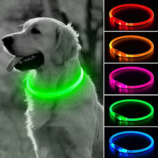 LED Dog Collar with USB Charging