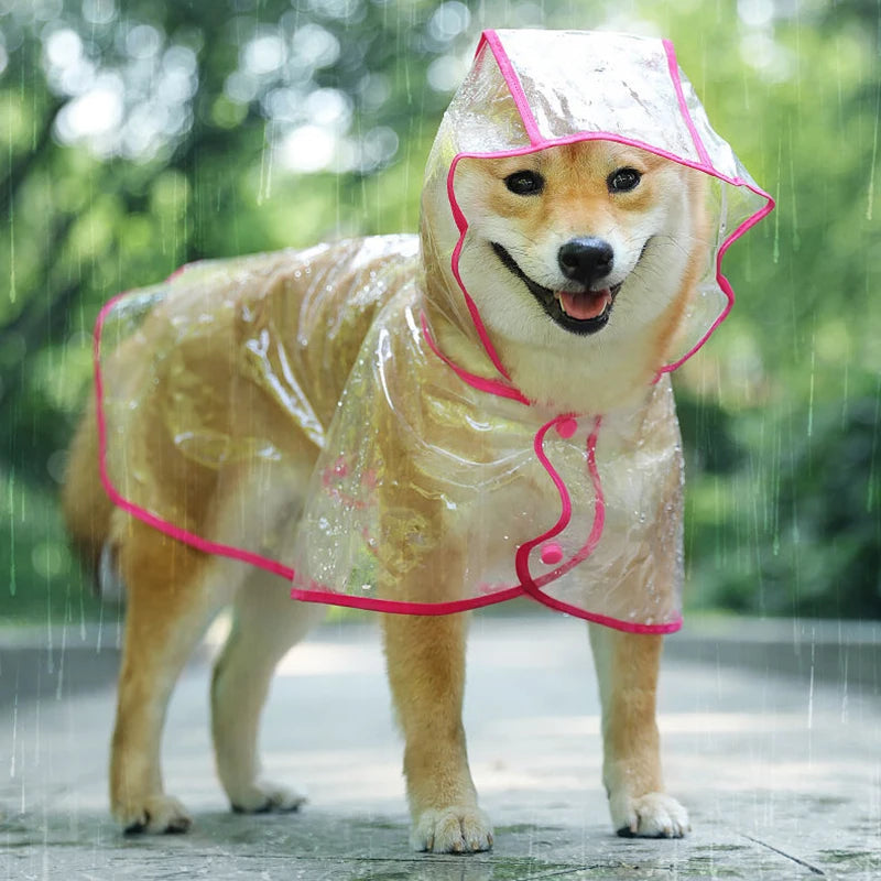 Transparent Hooded Raincoat for Dogs