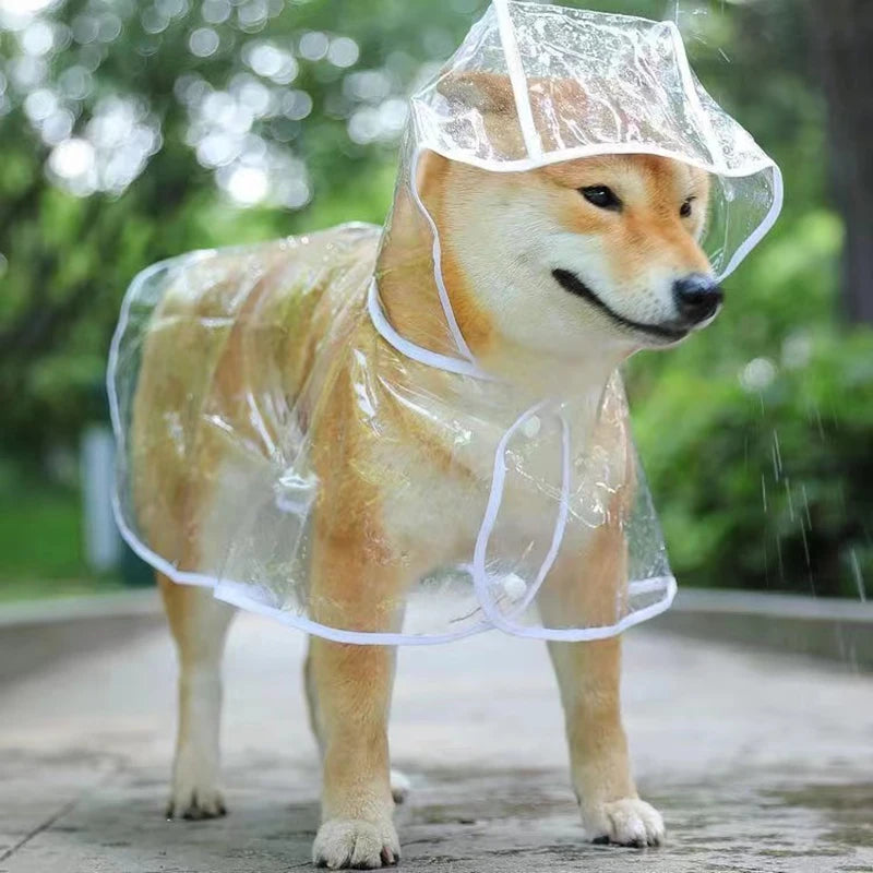 Transparent Hooded Raincoat for Dogs