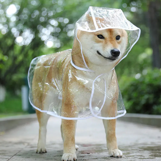 Transparent Hooded Raincoat for Dogs