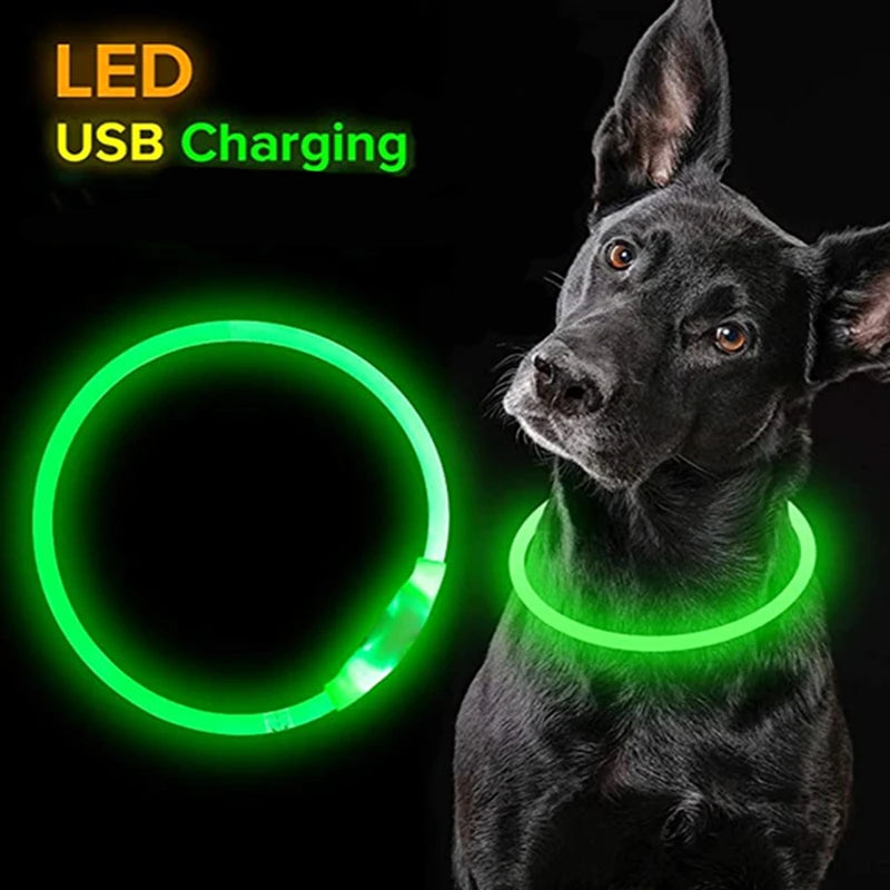 LED Dog Collar with USB Charging