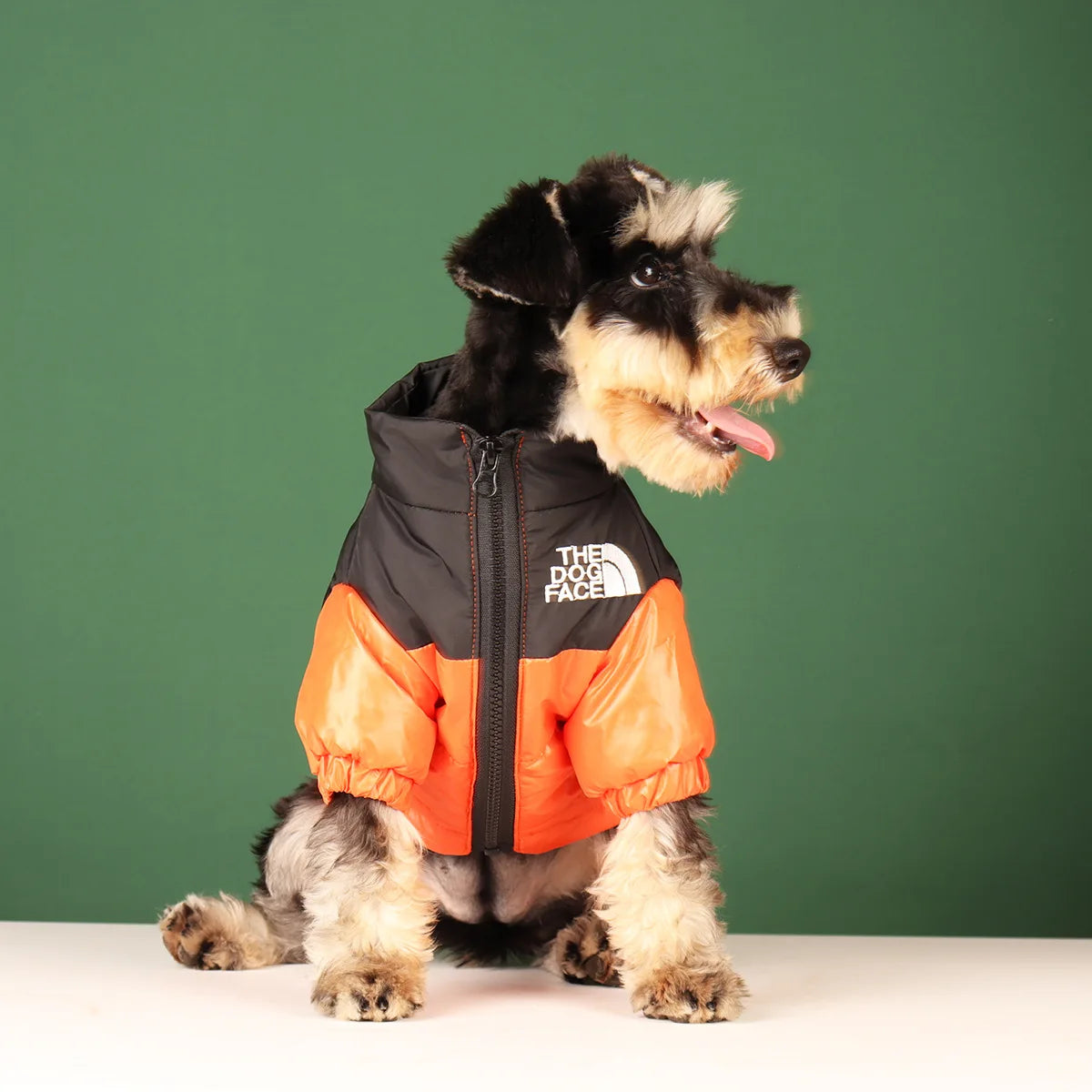 Winter Reflective Dog Jacket