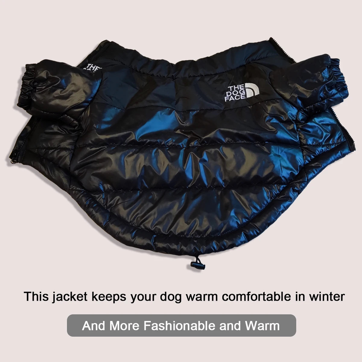 Winter Reflective Dog Jacket