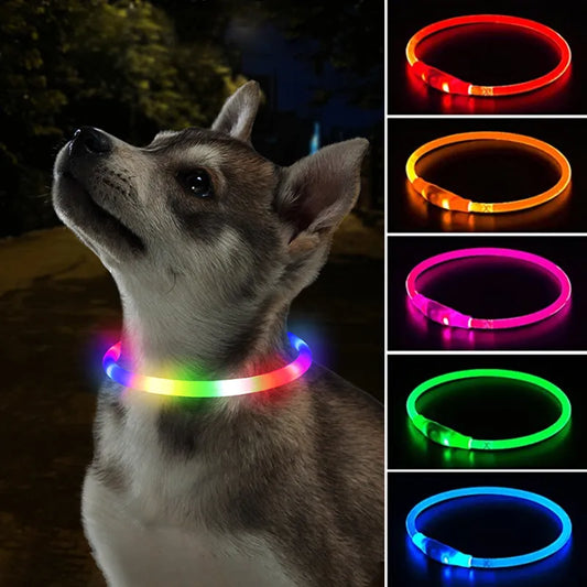 LED Dog Collar with USB Charging