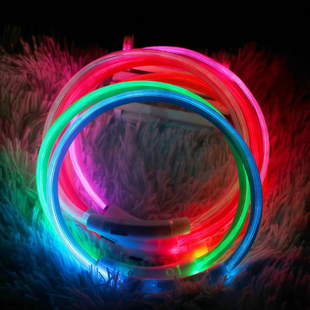 LED Dog Collar with USB Charging